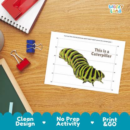 Caterpillar Cut and Match Activity Printables Worksheets
