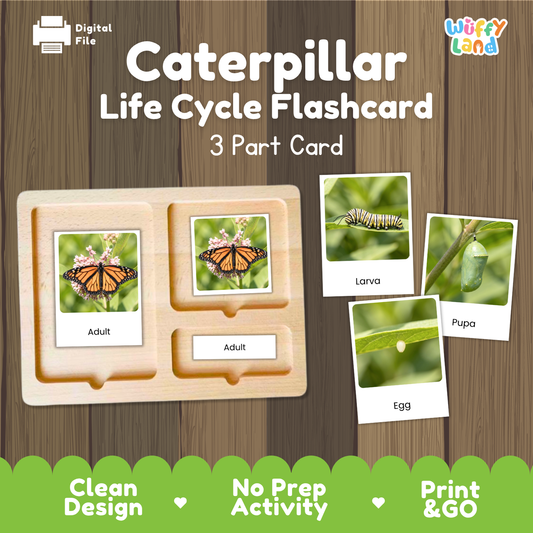 Montessori 3-part photo cards for caterpillar life cycle shown on wooden tray paired with animal research report worksheets and reference photo page