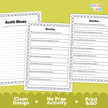 Three printable worksheet pages about Arctic skuas are shown on a bright yellow-green background with decorative text reading 'Clean Design', 'No Prep Activity', and 'Print & GO'. The top-right corner includes the 'Wiffle Land' logo.