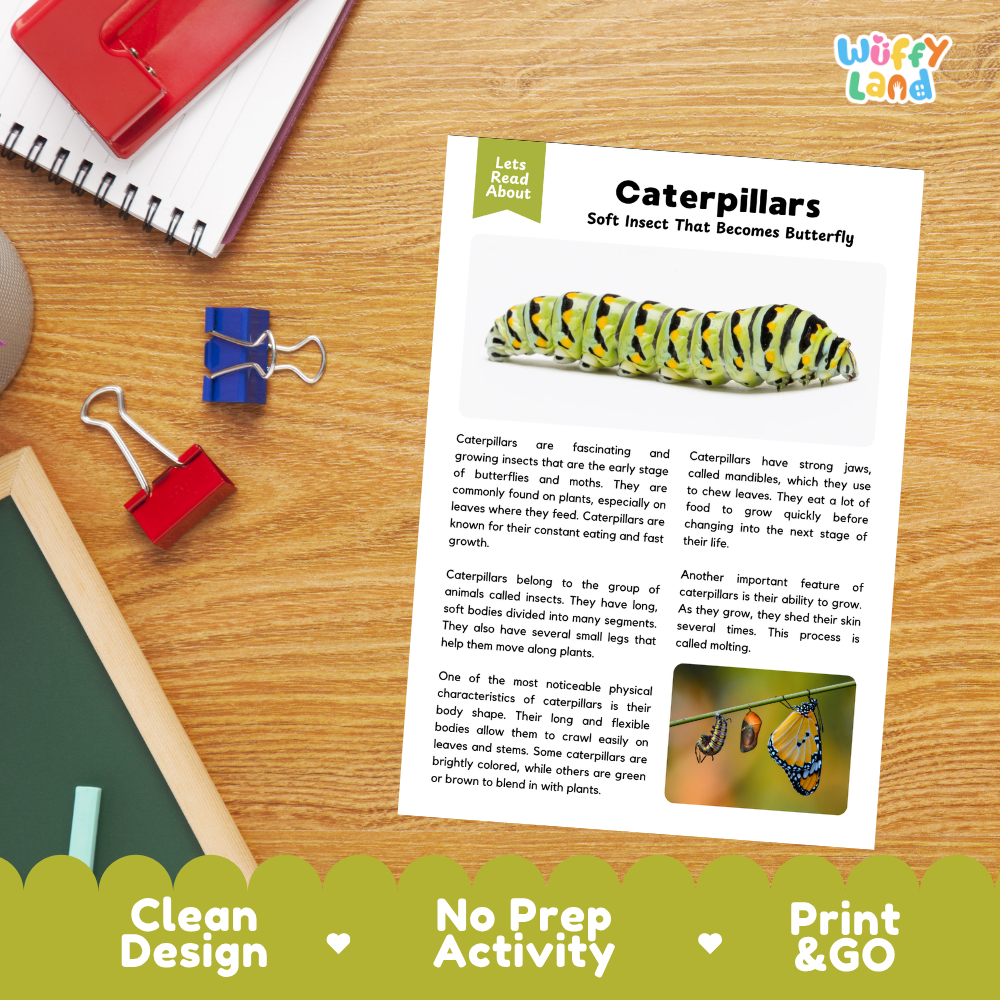 A printed educational worksheet about caterpillars laid on a wooden desk with binder clips and a red notebook nearby. The sheet has a colorful header, text about caterpillars, a caterpillar illustration, and two small photos of caterpillars on wood.