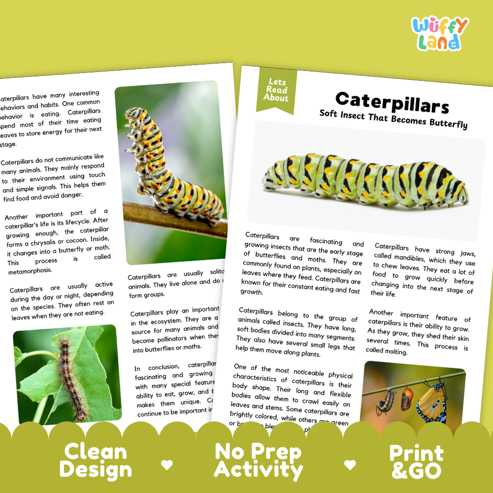 Two printed activity sheets about caterpillars shown on a white background with decorative branding. The left sheet has a colorful caterpillar illustration and text blocks, and the right sheet is mostly white with the title 'Caterpillars' and body text.