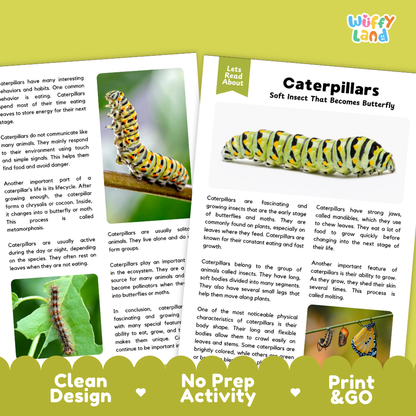 Two printed activity sheets about caterpillars shown on a white background with decorative branding. The left sheet has a colorful caterpillar illustration and text blocks, and the right sheet is mostly white with the title 'Caterpillars' and body text.