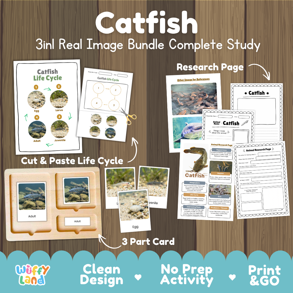 Catfish 3-in-1 real image bundle complete study cover showing cut and paste life cycle, 3 part cards, and research pages