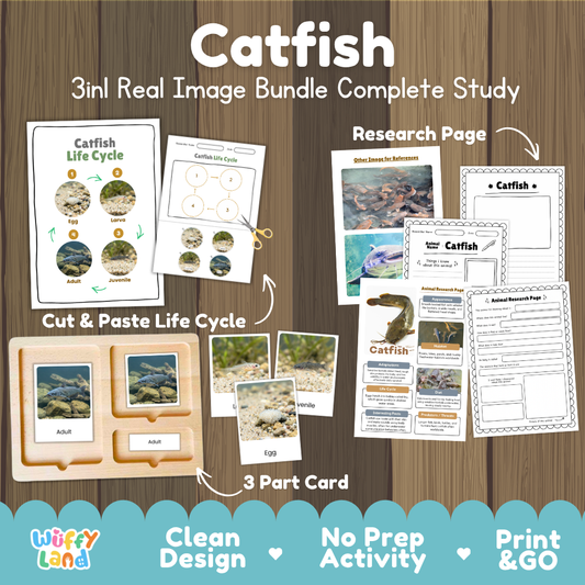 Catfish 3-in-1 real image bundle complete study cover showing cut and paste life cycle, 3 part cards, and research pages