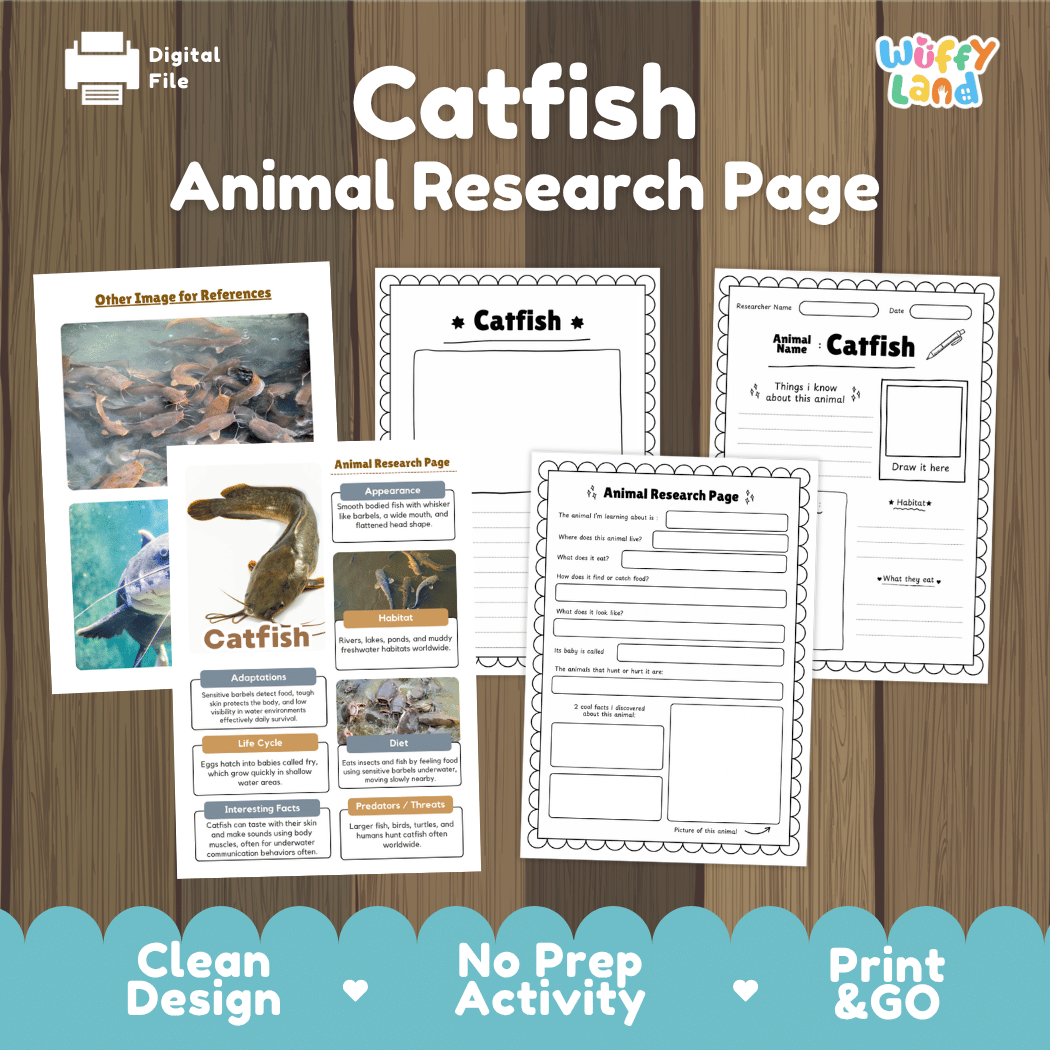 Catfish Animal Research Page and Worksheets