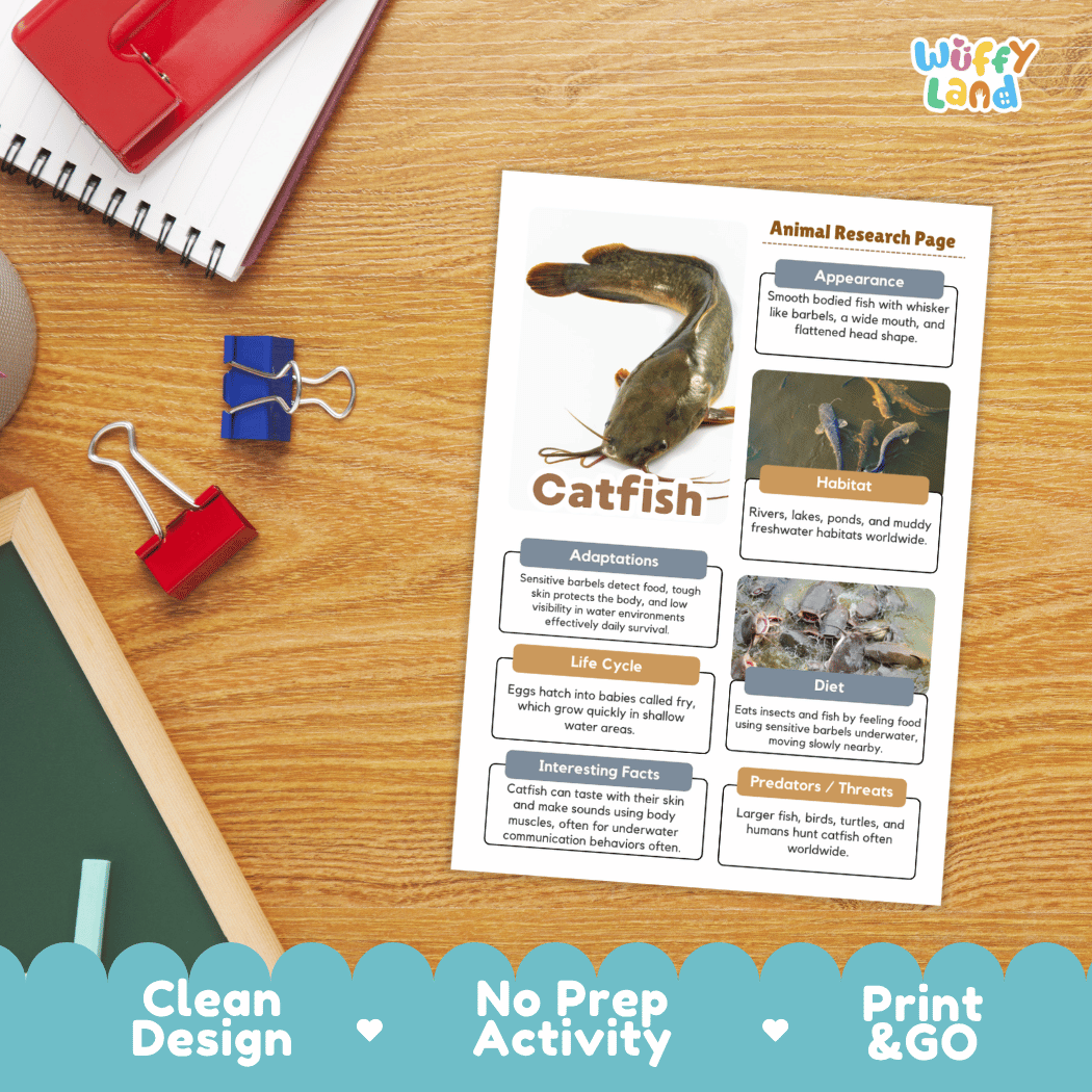 Catfish Animal Research Page and Worksheets