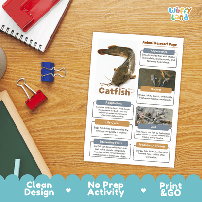 Catfish Animal Research Page and Worksheets