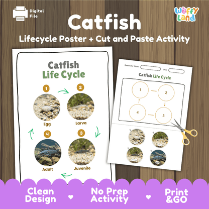 Catfish Life Cycle Poster and Cut and Paste Worksheet Activity