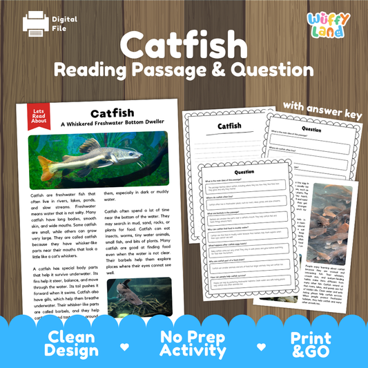 Digital reading activity product for 'Catfish' by Let's Read Animals, featuring a sample passage, worksheet pages, and a branded promotional banner on a wood background.
