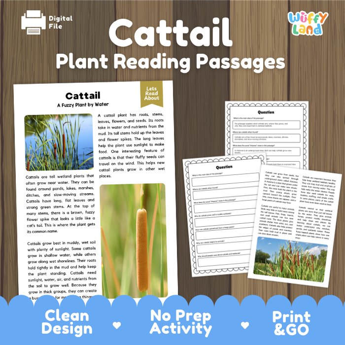 Cattail Plant Reading Passages and Comprehension Questions Worksheets