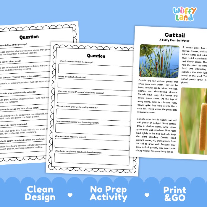 Cattail Plant Reading Passages and Comprehension Questions Worksheets