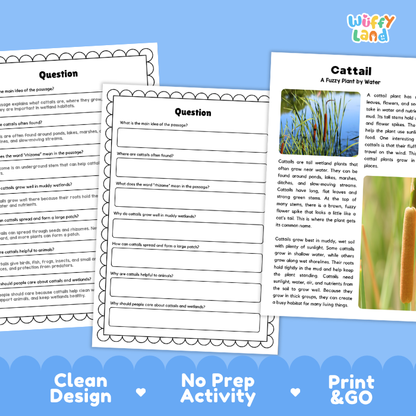 Cattail Plant Reading Passages and Comprehension Questions Worksheets