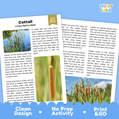 Cattail Plant Reading Passages and Comprehension Questions Worksheets
