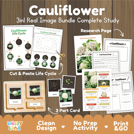 Cauliflower 3in1 real image bundle complete study printable featuring life cycle cut and paste worksheets, Montessori 3-part cards, and research pages