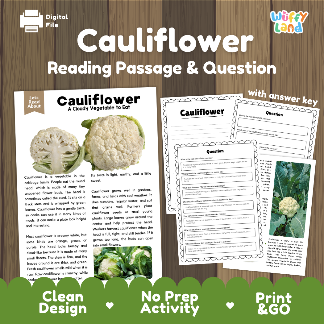 Cauliflower reading comprehension passage and questions printable activity pack with answer key for elementary students