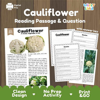 Cauliflower reading comprehension passage and questions printable activity pack with answer key for elementary students