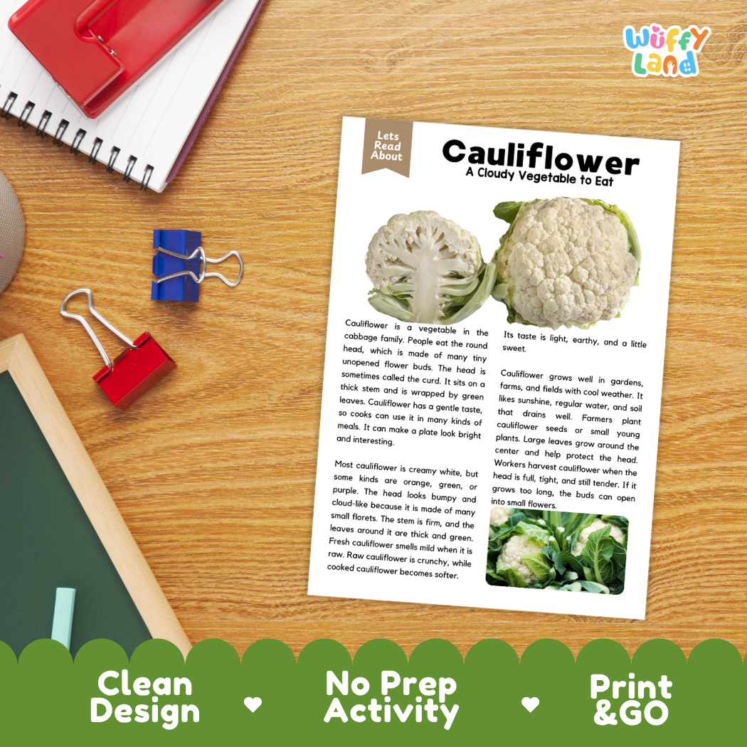 Student reading comprehension worksheet with short-answer questions and lined sections about cauliflower vegetables