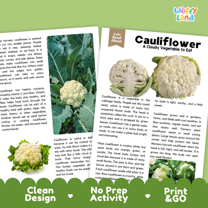 Teacher answer key page showing complete question solutions for cauliflower reading comprehension practice