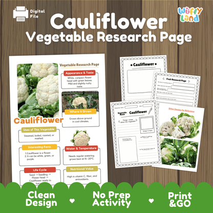 Student vegetable research page writing worksheets with real whole and cut cauliflower photos, lined note-taking prompts, and drawing frames
