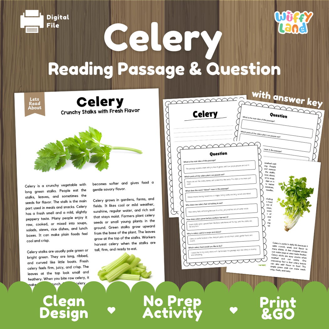 Celery reading comprehension passage and questions printable activity pack with answer key for elementary students