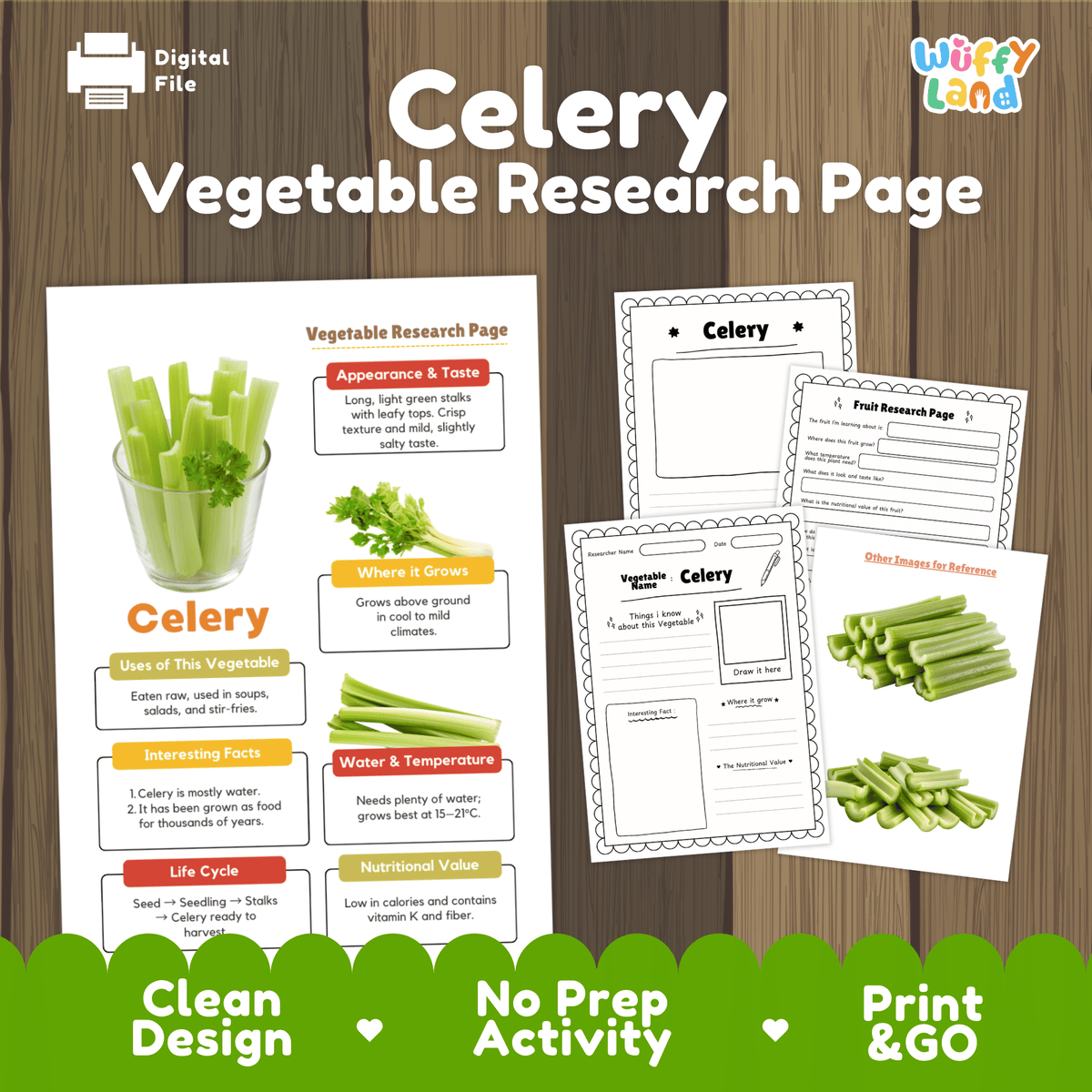 Student vegetable research page writing worksheets with real sliced fresh celery stalks photos, lined note-taking prompts, and drawing frames