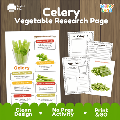 Student vegetable research page writing worksheets with real sliced fresh celery stalks photos, lined note-taking prompts, and drawing frames