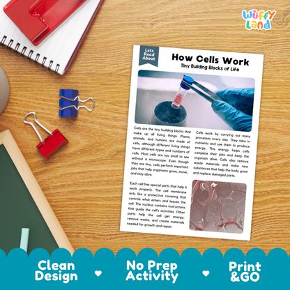 Printable student worksheet with short-answer reading comprehension questions covering cells and biology