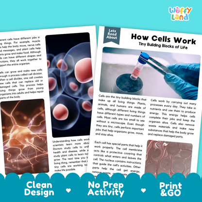 Complete teacher answer key worksheet providing detailed model responses for cell comprehension questions