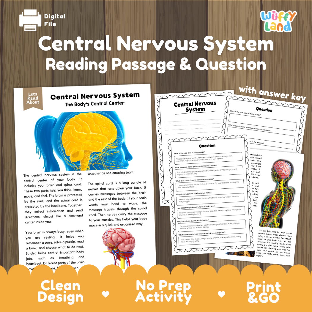 Central nervous system reading comprehension passage and questions printable activity pack with answer key for elementary students