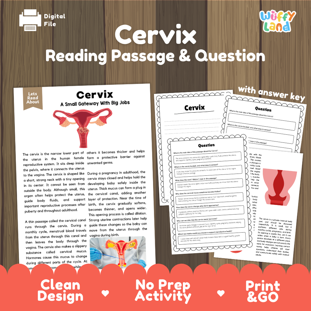 Cervix reading comprehension passage and questions printable activity pack with answer key for elementary students
