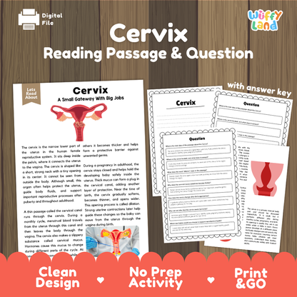 Cervix reading comprehension passage and questions printable activity pack with answer key for elementary students