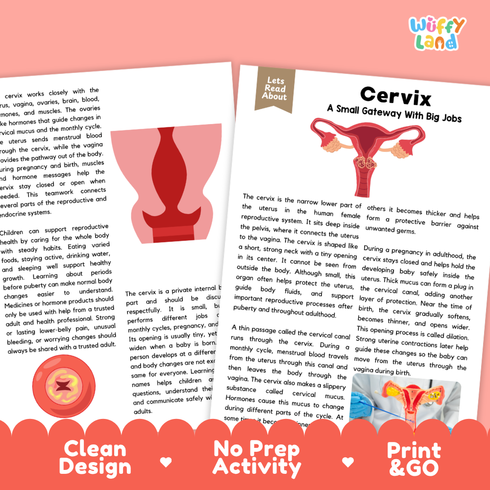 Teacher answer key page showing complete question solutions for Cervix human body reading comprehension practice