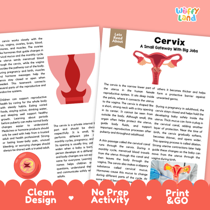Teacher answer key page showing complete question solutions for Cervix human body reading comprehension practice