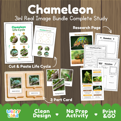 Chameleon 3-in-1 real image bundle complete study cover showing cut and paste life cycle, 3 part cards, and research pages