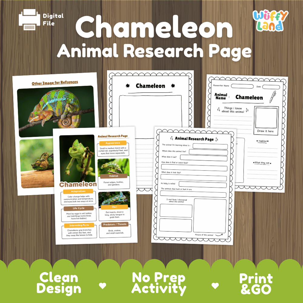 Chameleon Animal Research Page Graphic Organizers and Worksheets