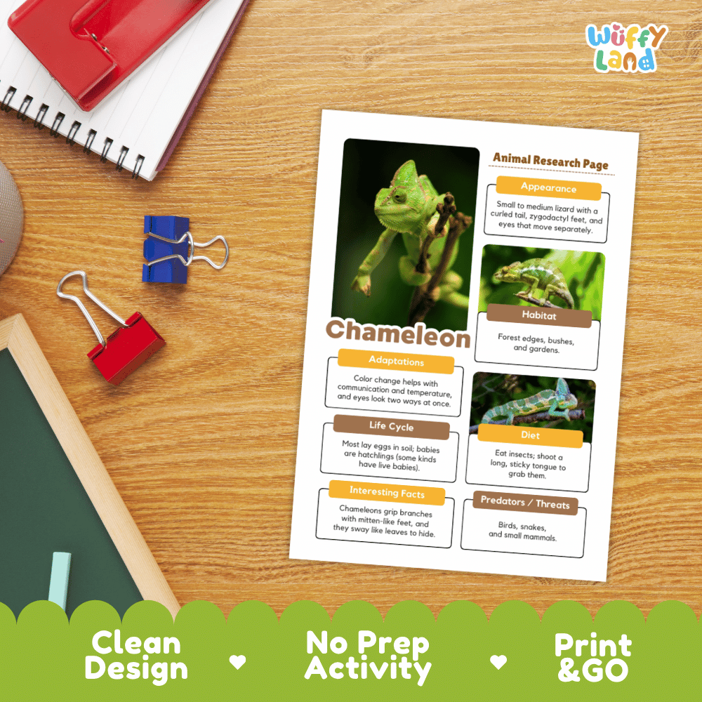 Chameleon Animal Research Page Graphic Organizers and Worksheets