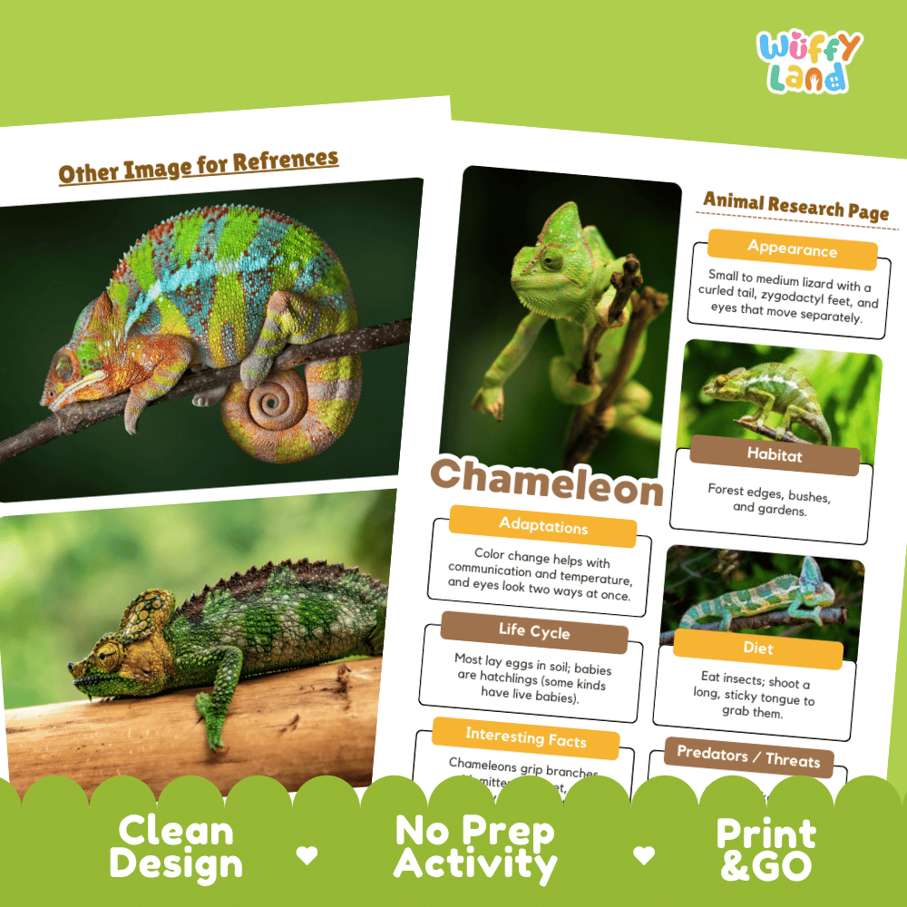 Two educational activity sheets about chameleons from the brand Wiffly Land, displayed on a green background with promotional text overlays highlighting clean design, no prep activity, and print & go convenience.