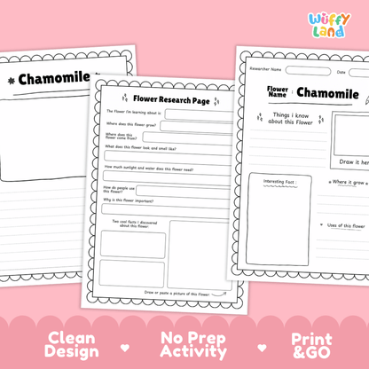 Chamomile Plant Research Worksheets and Informational Fact Sheets