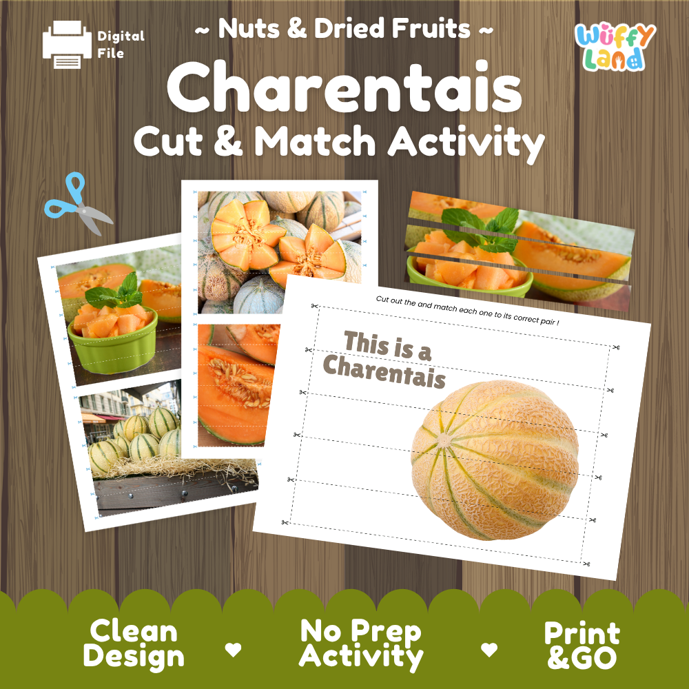 Charentais cut and match activity cover showing printable fine motor puzzle sheets and melon photographs