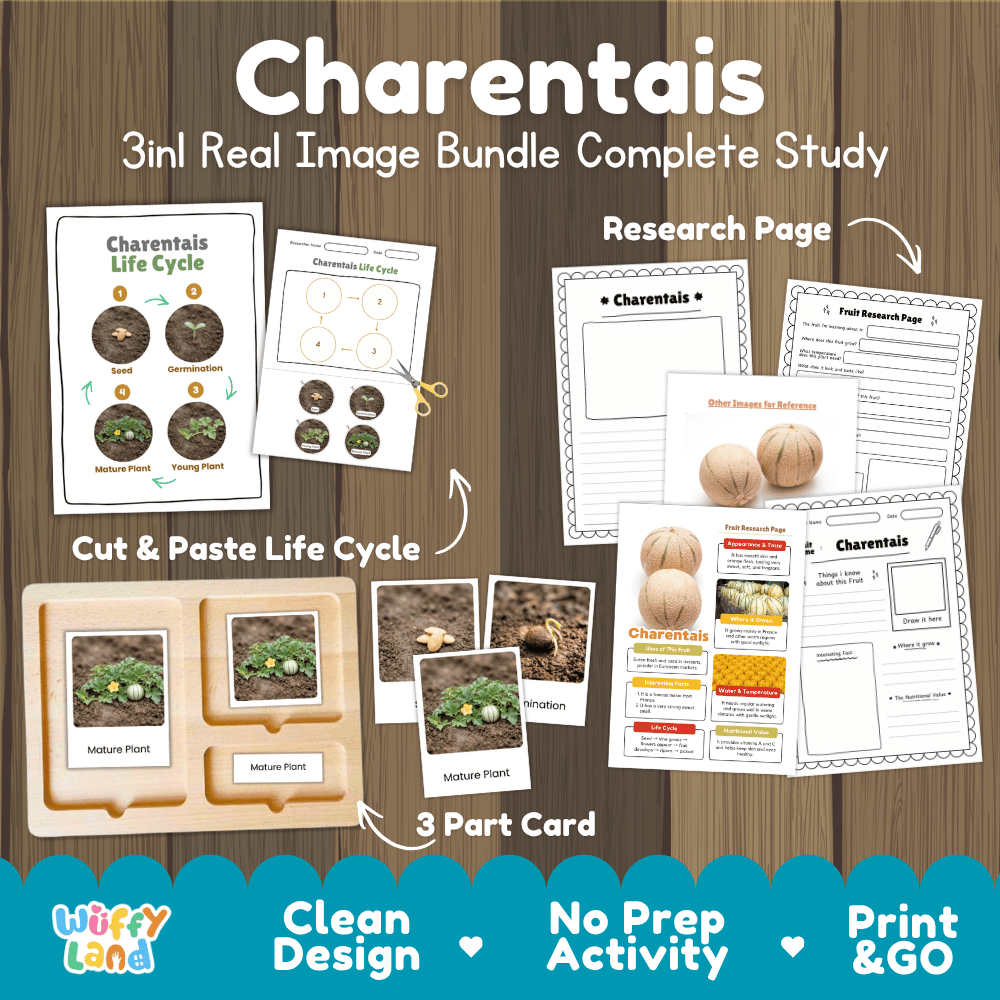 Charentais melon life cycle 3in1 real image bundle complete study overview featuring cut and paste worksheets, Montessori 3-part cards, and research pages from Wuffy Land 🍈🌱