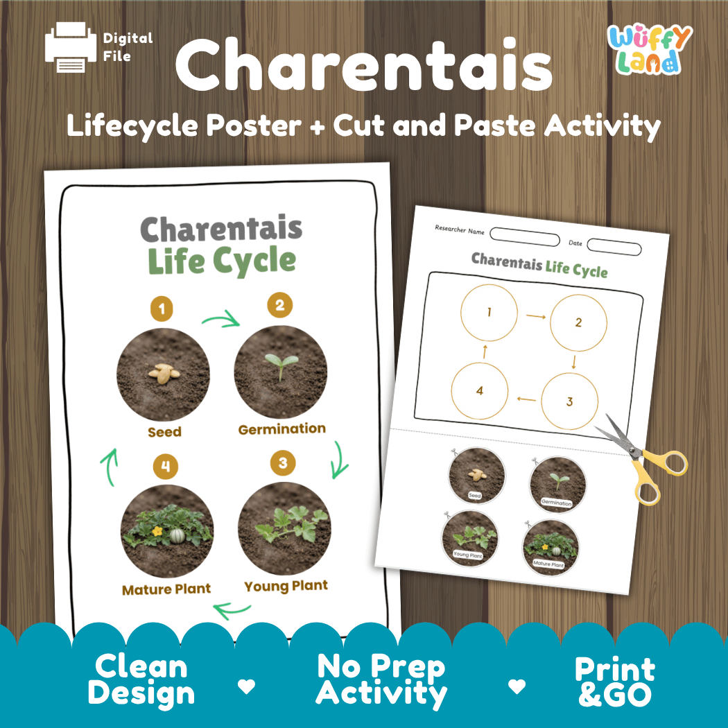 Charentais melon plant life cycle educational poster and cut and paste printable sequencing activity featuring real photos for elementary science