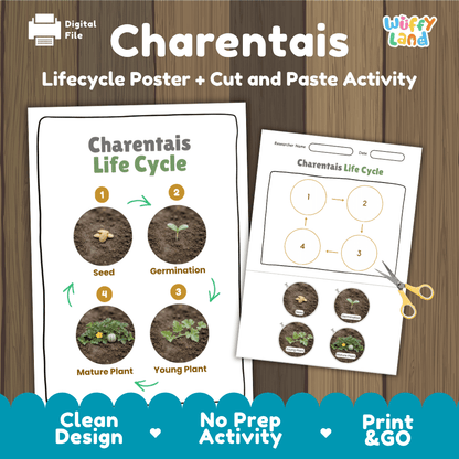 Charentais melon plant life cycle educational poster and cut and paste printable sequencing activity featuring real photos for elementary science