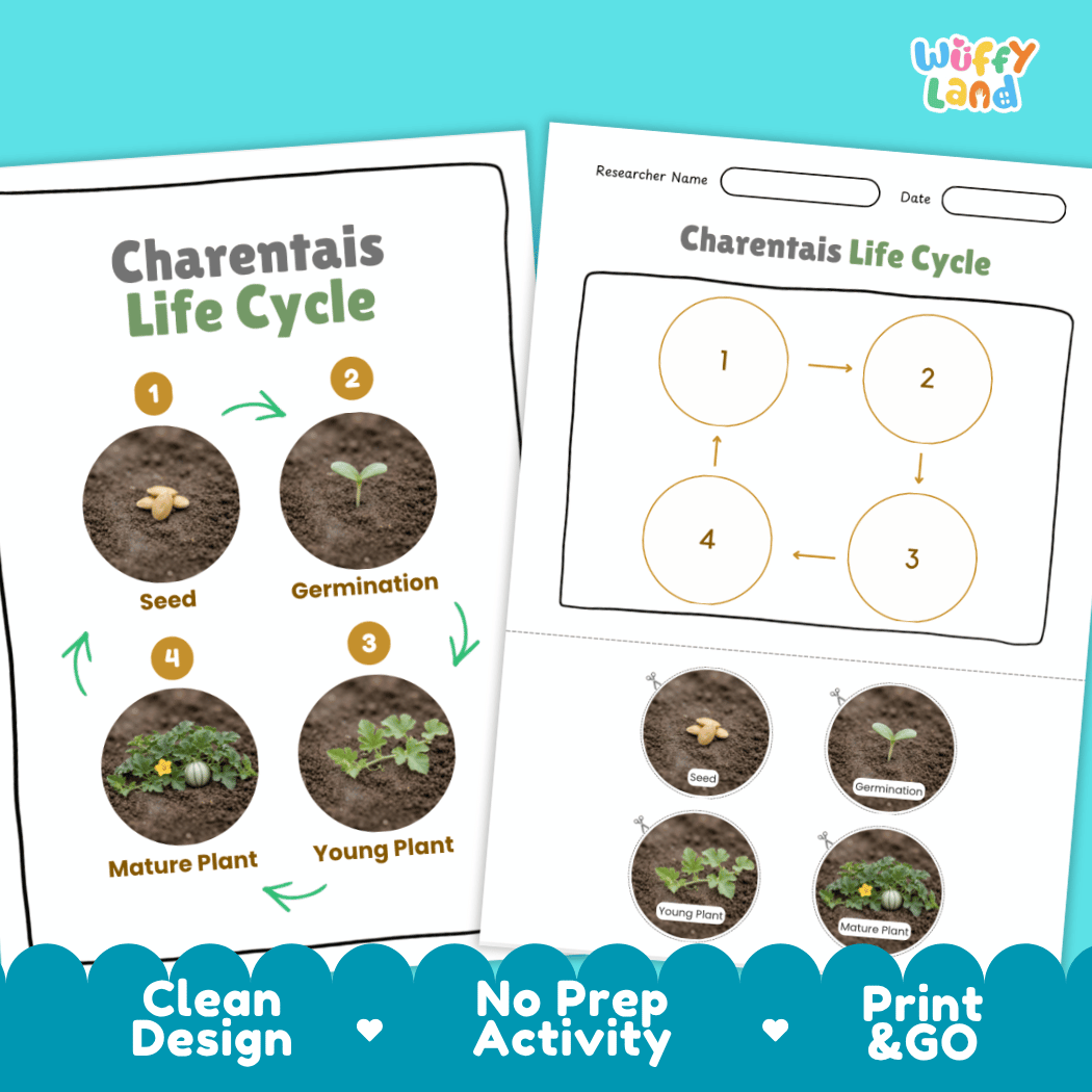 Print and go digital PDF plant science activity featuring clean design layout, researcher name line, and zero prep classroom format