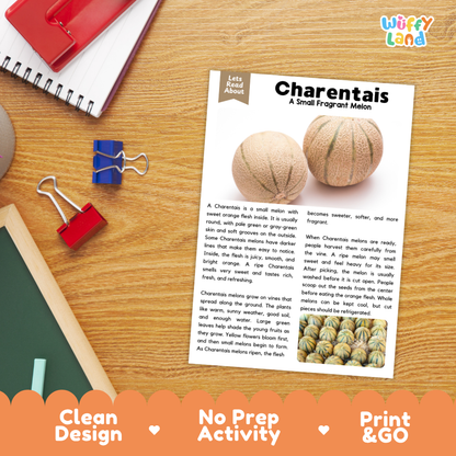 Student reading comprehension worksheet with short-answer questions and lined sections about the Charentais melon fruit