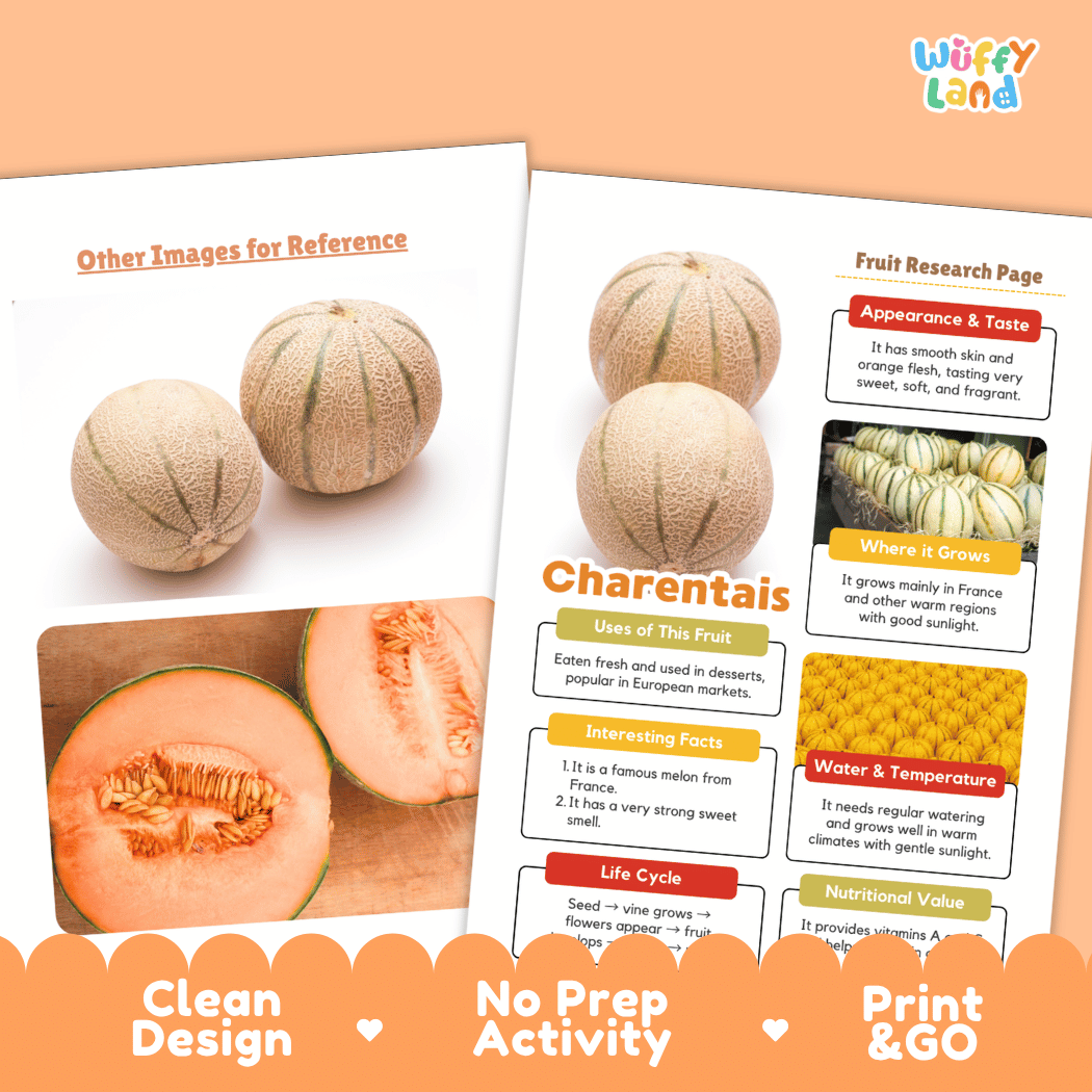 Charentais Fruit Research Page Worksheets and Fact Sheet