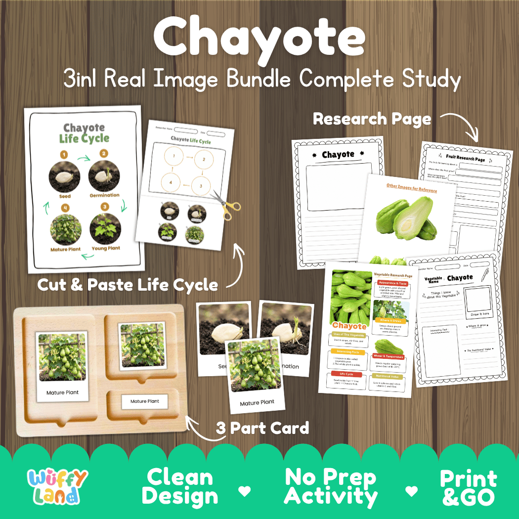 Chayote 3in1 real image bundle complete study printable featuring life cycle cut and paste worksheets, Montessori 3-part cards, and research pages