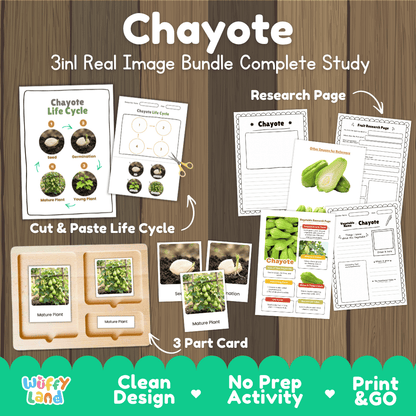 Chayote 3in1 real image bundle complete study printable featuring life cycle cut and paste worksheets, Montessori 3-part cards, and research pages