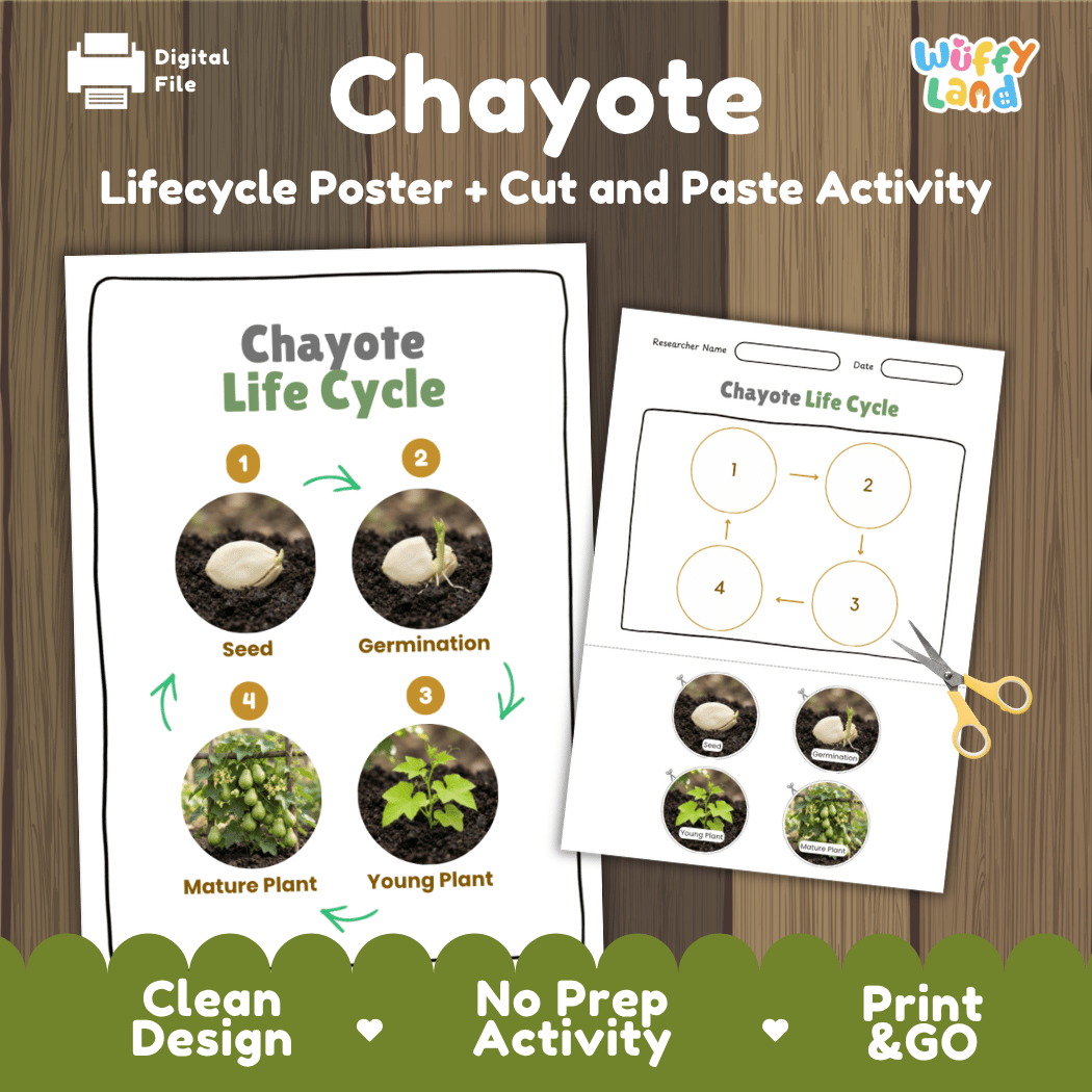 Chayote plant life cycle educational printable pack cover showing visual reference poster and cut and paste sequencing worksheet with real photography