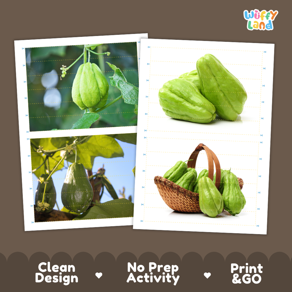 Printable activity sheets featuring photographic chayote puzzle boards and cutting guides