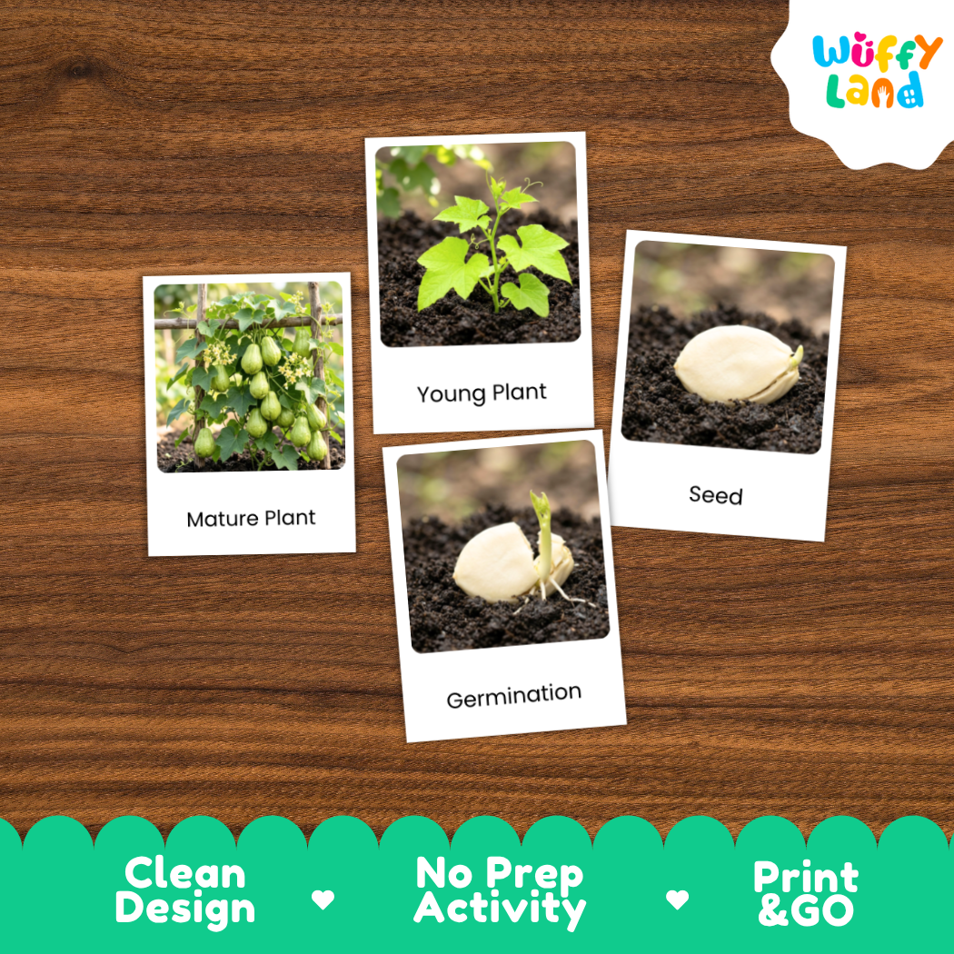 Four educational plant germination cards labeled 'Mature Plant', 'Young Plant', 'Seed', and 'Germination' arranged on a brown wood background, with a 'Wuffy Land' logo in the top right and a green banner at the bottom reading 'Clean Design', 'No Prep Activity', and 'Print & GO'.